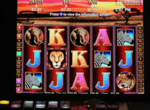 娱乐星空下载app手机版